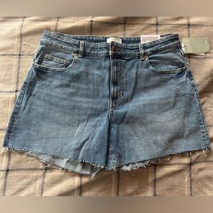 H&M Denim High Waisted Shorts
